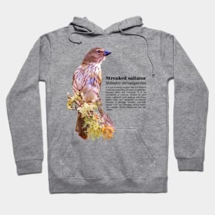 Streaked saltator tropical bird black text Hoodie